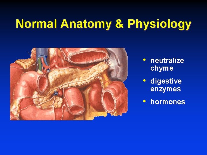 Normal Anatomy & Physiology • neutralize chyme • digestive enzymes • hormones 