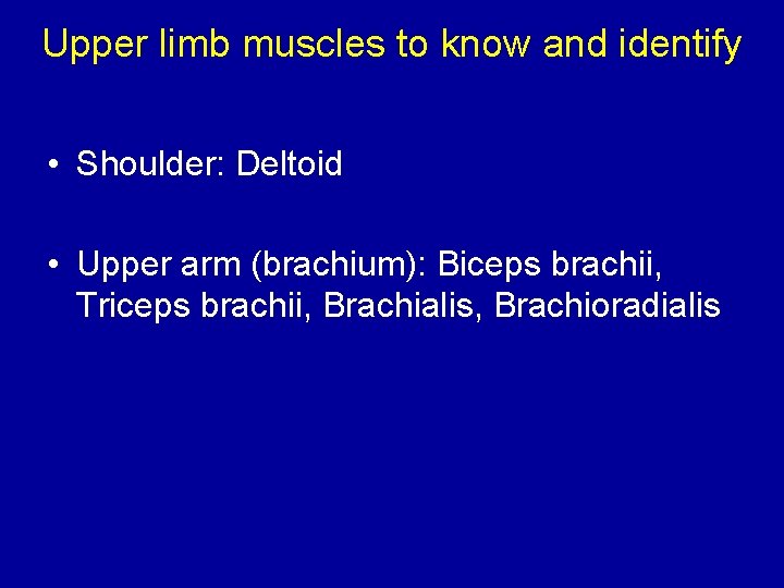 Upper limb muscles to know and identify • Shoulder: Deltoid • Upper arm (brachium):