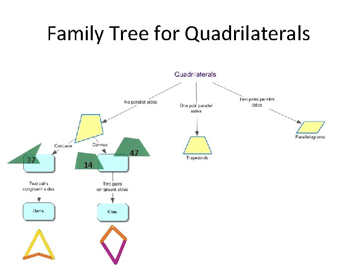 Family Tree for Quadrilaterals 37 47 14 