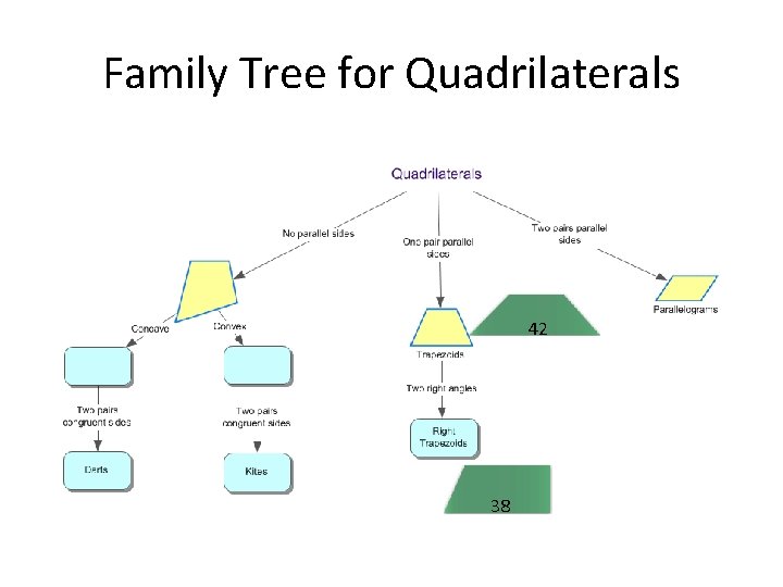 Family Tree for Quadrilaterals 42 38 