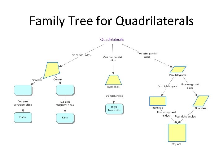 Family Tree for Quadrilaterals 