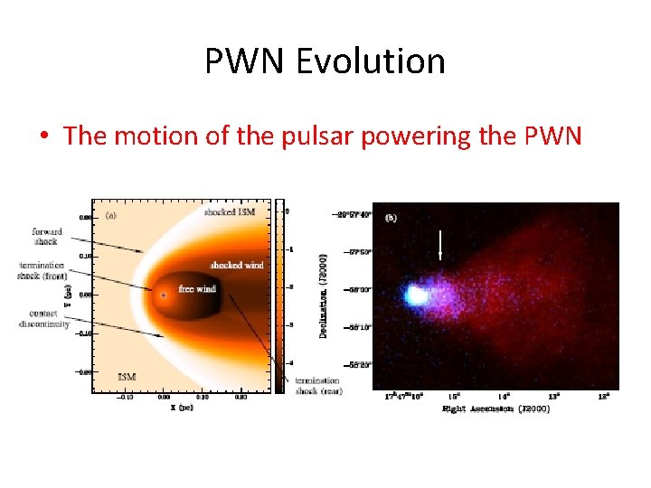 PWN Evolution • The motion of the pulsar powering the PWN 