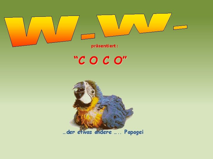 prsentiert c o c o der etwas andere