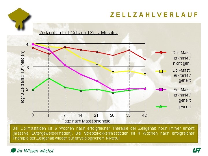 ZELLZAHLVERLAUF Zellzahlverlauf Coli- und Sc. - Mastitis: log 10 Zellzahl x 10³ (Median) 4