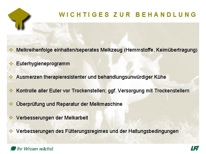 WICHTIGES ZUR BEHANDLUNG v Melkreihenfolge einhalten/seperates Melkzeug (Hemmstoffe, Keimübertragung) v Euterhygieneprogramm v Ausmerzen therapieresistenter