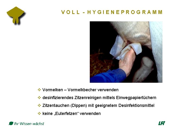 VOLL - HYGIENEPROGRAMM v Vormelken – Vormelkbecher verwenden v desinfizierendes Zitzenreinigen mittels Einwegpapiertüchern v