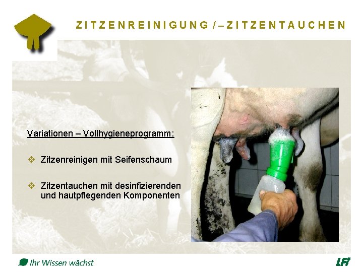 ZITZENREINIGUNG /–ZITZENTAUCHEN Variationen – Vollhygieneprogramm: v Zitzenreinigen mit Seifenschaum v Zitzentauchen mit desinfizierenden und