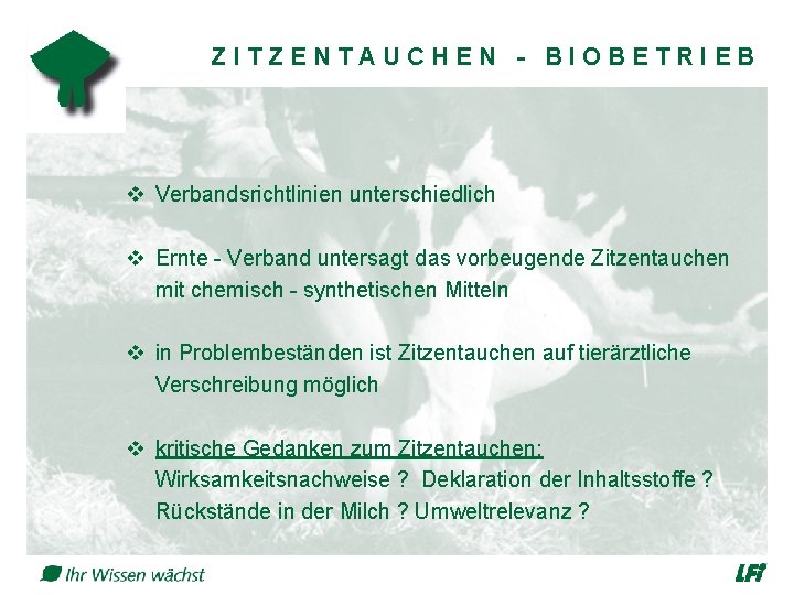 ZITZENTAUCHEN - BIOBETRIEB v Verbandsrichtlinien unterschiedlich v Ernte - Verband untersagt das vorbeugende Zitzentauchen