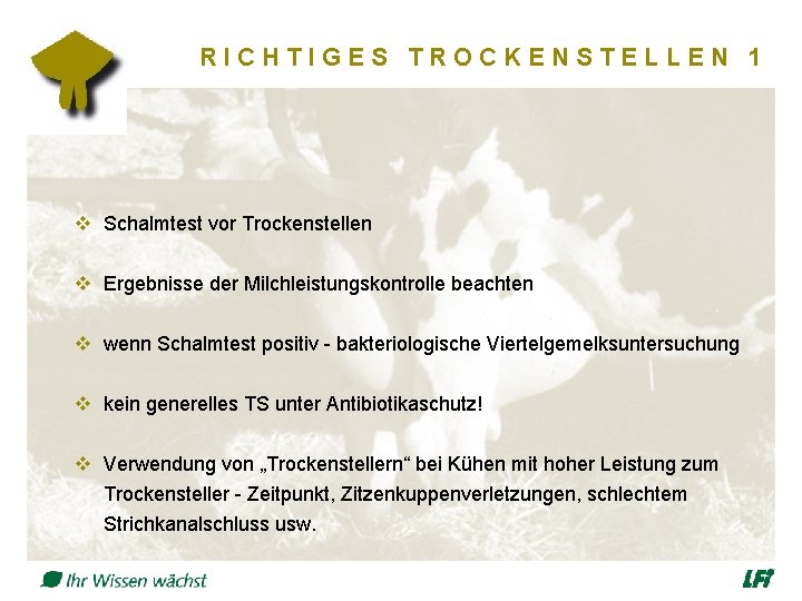 RICHTIGES TROCKENSTELLEN 1 v Schalmtest vor Trockenstellen v Ergebnisse der Milchleistungskontrolle beachten v wenn