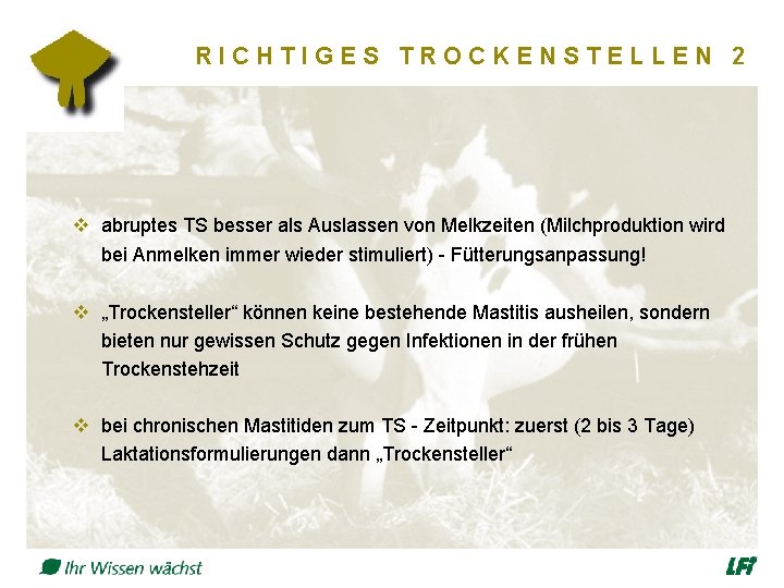 RICHTIGES TROCKENSTELLEN 2 v abruptes TS besser als Auslassen von Melkzeiten (Milchproduktion wird bei