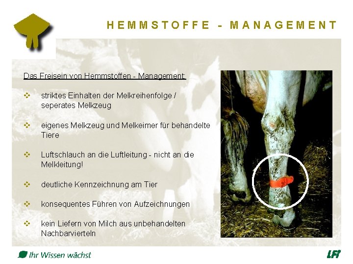 HEMMSTOFFE - MANAGEMENT Das Freisein von Hemmstoffen - Management: v striktes Einhalten der Melkreihenfolge