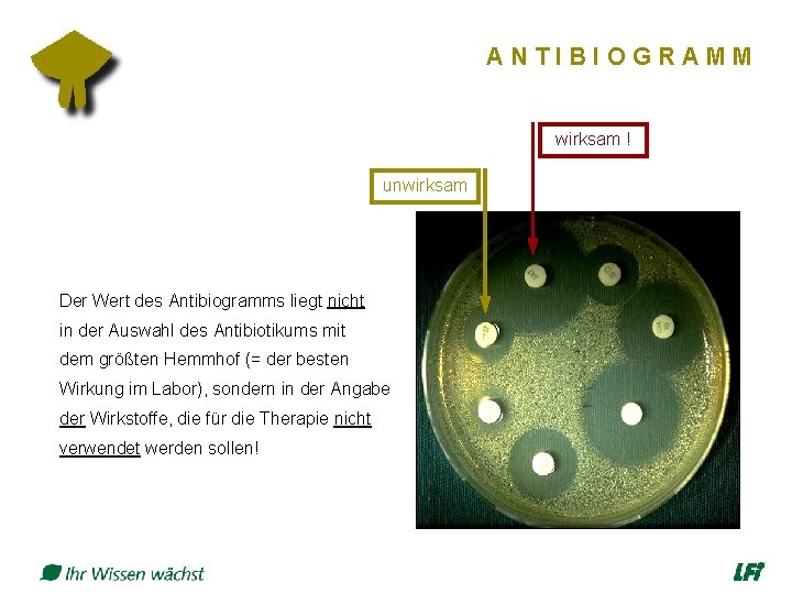 ANTIBIOGRAMM wirksam ! unwirksam Der Wert des Antibiogramms liegt nicht in der Auswahl des