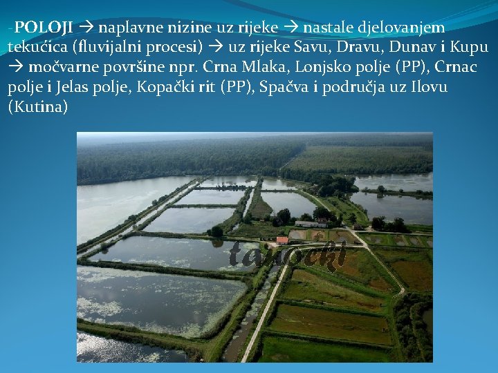 -POLOJI naplavne nizine uz rijeke nastale djelovanjem tekućica (fluvijalni procesi) uz rijeke Savu, Dravu,