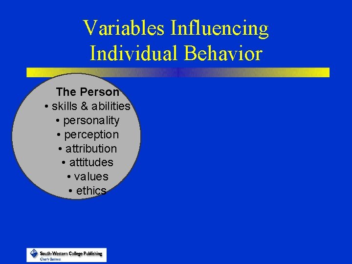 Variables Influencing Individual Behavior The Person • skills & abilities • personality • perception