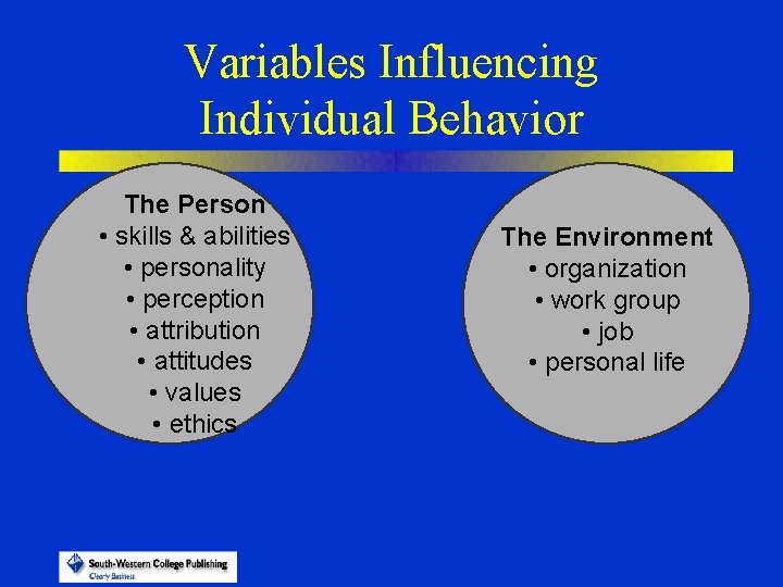 Variables Influencing Individual Behavior The Person • skills & abilities • personality • perception