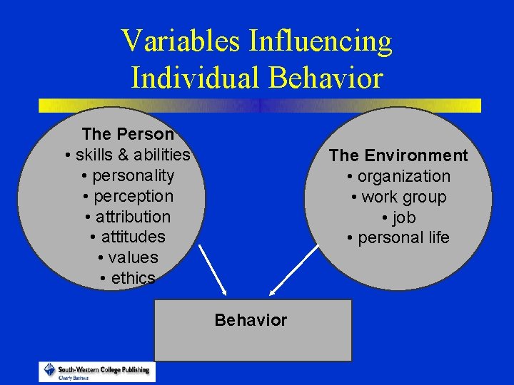 Variables Influencing Individual Behavior The Person • skills & abilities • personality • perception