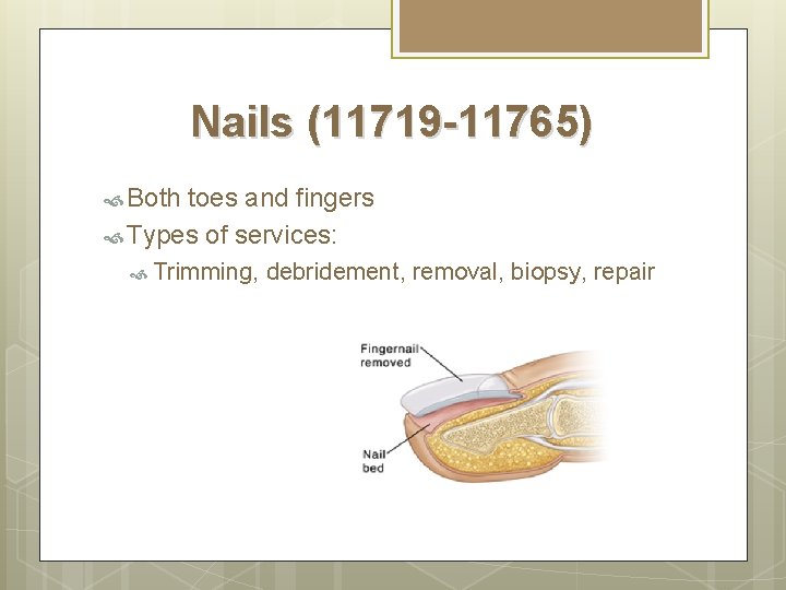 Nails (11719 -11765) Both toes and fingers Types of services: Trimming, debridement, removal, biopsy,