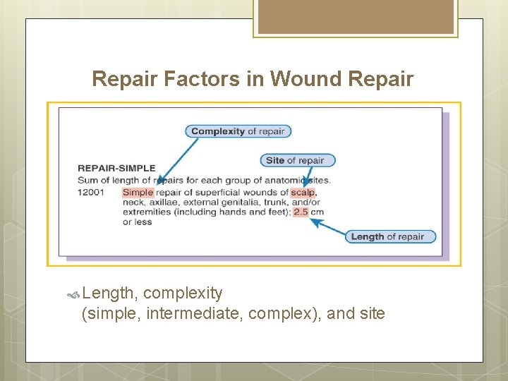 Repair Factors in Wound Repair Length, complexity (simple, intermediate, complex), and site 