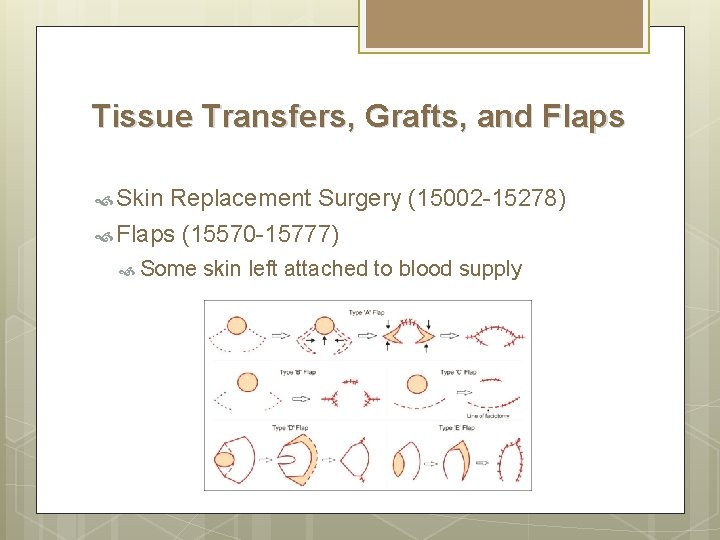 Tissue Transfers, Grafts, and Flaps Skin Replacement Surgery (15002 -15278) Flaps (15570 -15777) Some