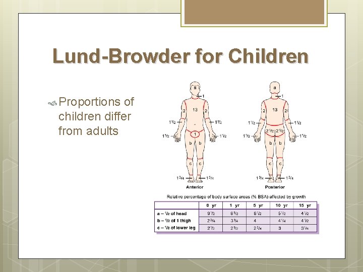 Lund-Browder for Children Proportions of children differ from adults 