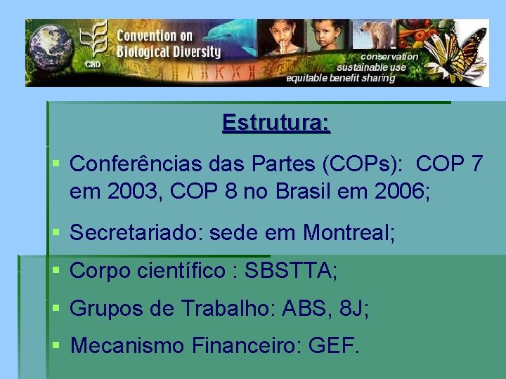 Estrutura: § Conferências das Partes (COPs): COP 7 em 2003, COP 8 no Brasil