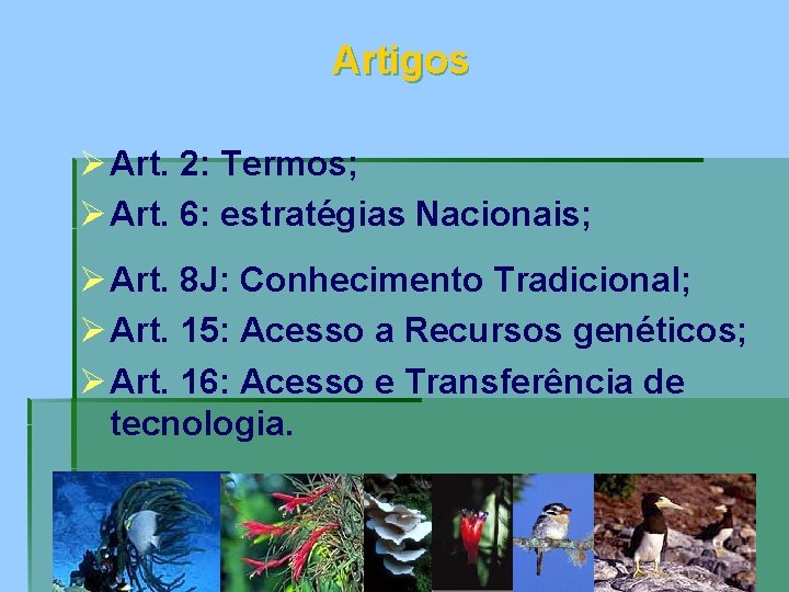 Artigos Ø Art. 2: Termos; Ø Art. 6: estratégias Nacionais; Ø Art. 8 J: