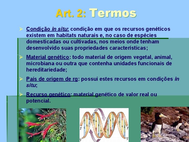 Art. 2: Termos Ø Condição in situ: condição em que os recursos genéticos existem