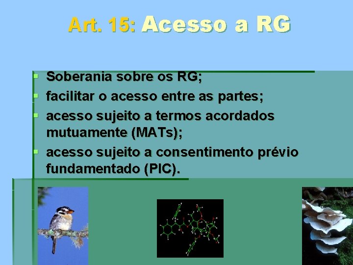 Art. 15: Acesso a RG § Soberania sobre os RG; § facilitar o acesso
