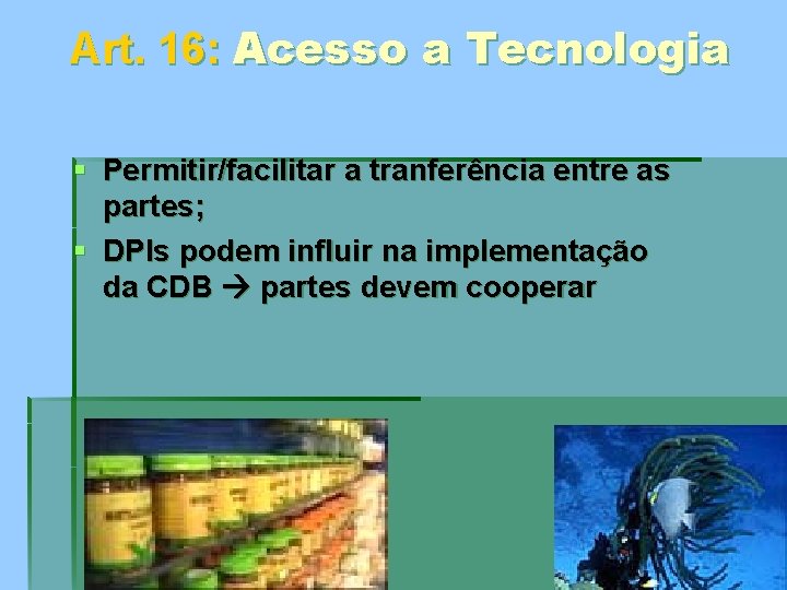 Art. 16: Acesso a Tecnologia § Permitir/facilitar a tranferência entre as partes; § DPIs