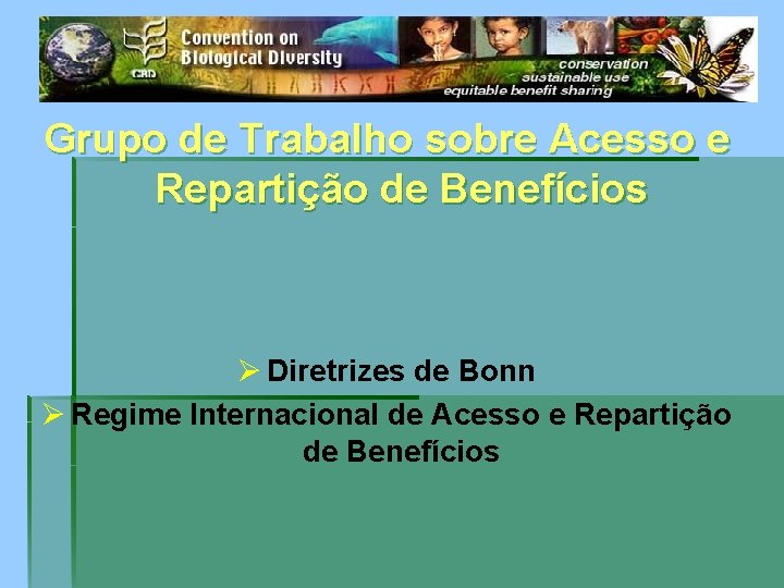 Grupo de Trabalho sobre Acesso e Repartição de Benefícios Ø Diretrizes de Bonn Ø