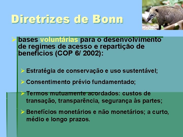 Diretrizes de Bonn Ø bases voluntárias para o desenvolvimento de regimes de acesso e