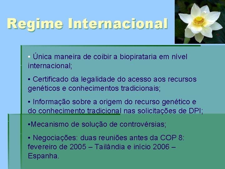 Regime Internacional • Única maneira de coibir a biopirataria em nível internacional; • Certificado