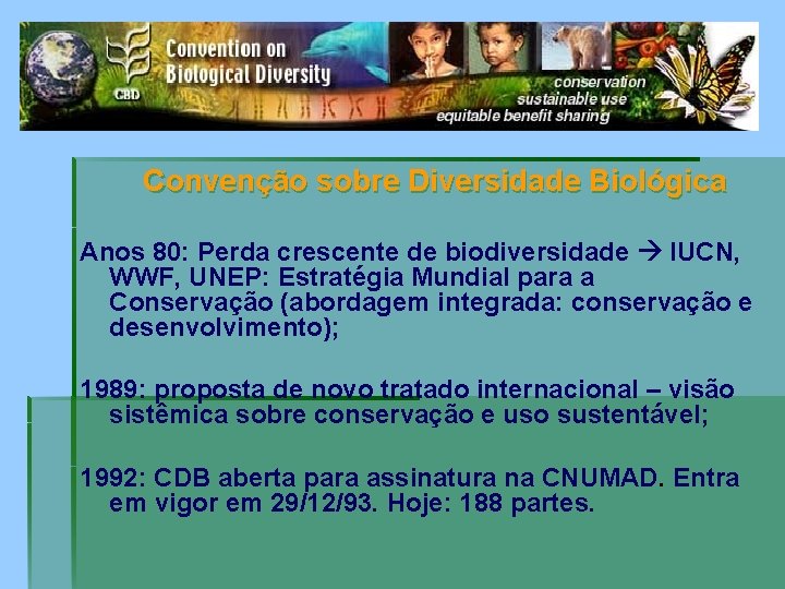 Convenção sobre Diversidade Biológica Anos 80: Perda crescente de biodiversidade IUCN, WWF, UNEP: Estratégia