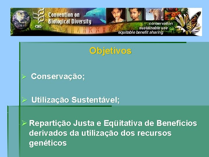 Objetivos Ø Conservação; Ø Utilização Sustentável; Ø Repartição Justa e Eqüitativa de Benefícios derivados