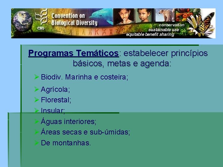 Programas Temáticos: estabelecer princípios básicos, metas e agenda: Ø Biodiv. Marinha e costeira; Ø