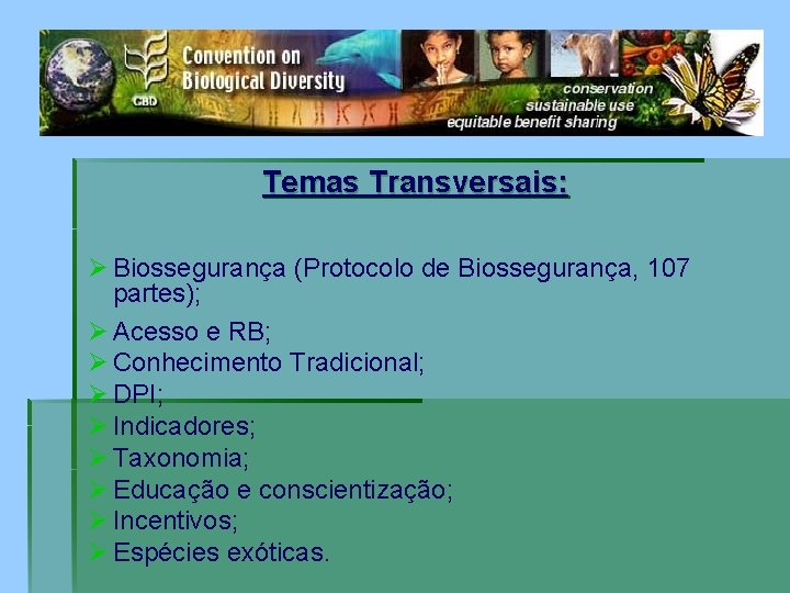 Temas Transversais: Ø Biossegurança (Protocolo de Biossegurança, 107 partes); Ø Acesso e RB; Ø