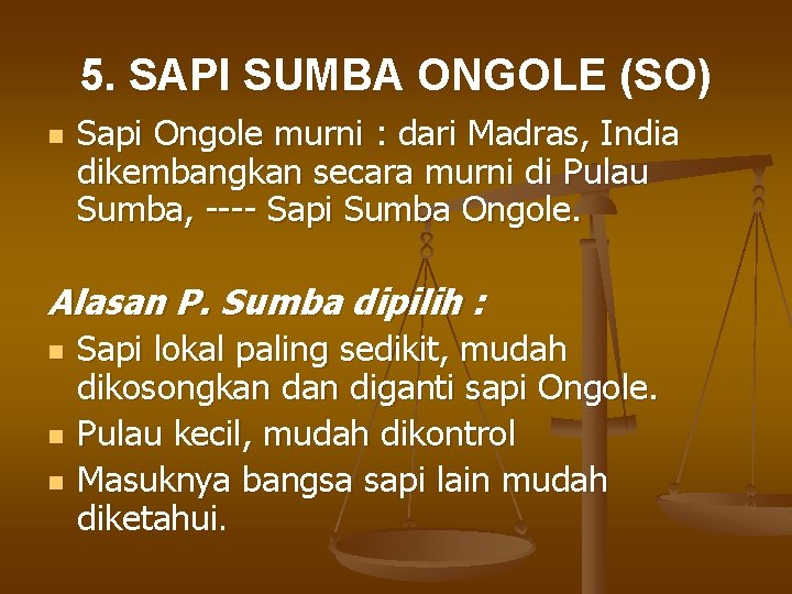 5. SAPI SUMBA ONGOLE (SO) n Sapi Ongole murni : dari Madras, India dikembangkan