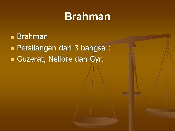 Brahman n Brahman Persilangan dari 3 bangsa : Guzerat, Nellore dan Gyr. 