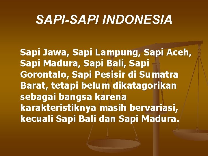SAPI-SAPI INDONESIA Sapi Jawa, Sapi Lampung, Sapi Aceh, Sapi Madura, Sapi Bali, Sapi Gorontalo,