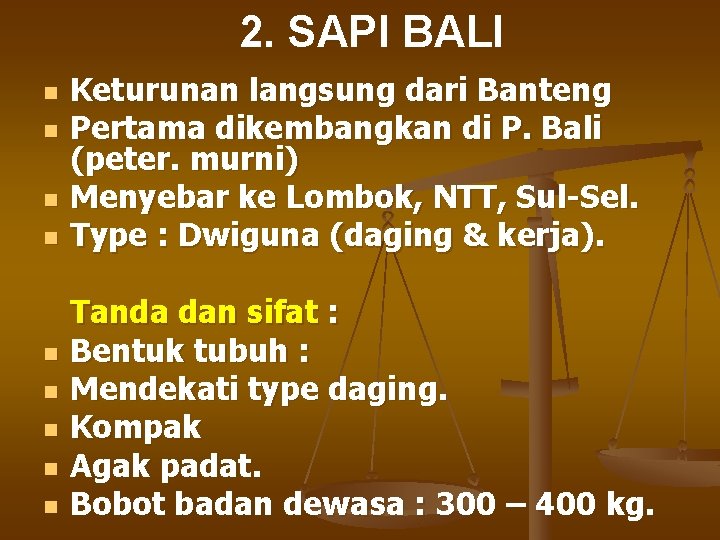 2. SAPI BALI n n n n n Keturunan langsung dari Banteng Pertama dikembangkan