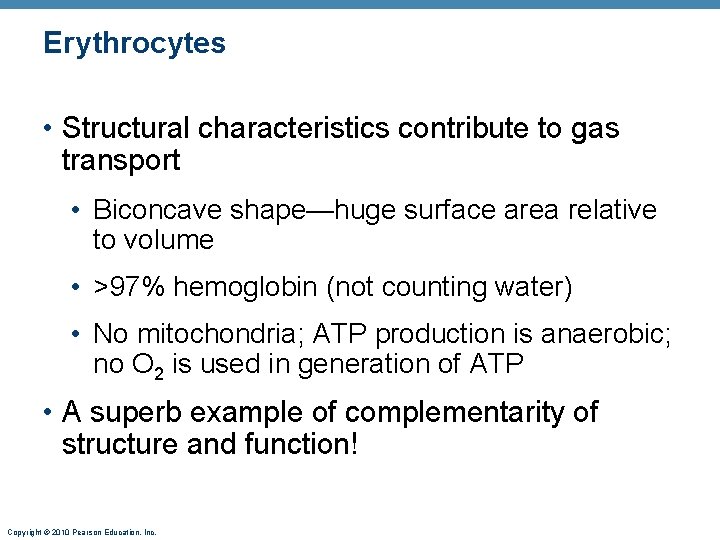 Erythrocytes • Structural characteristics contribute to gas transport • Biconcave shape—huge surface area relative