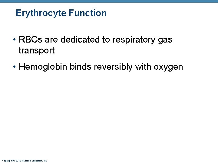 Erythrocyte Function • RBCs are dedicated to respiratory gas transport • Hemoglobin binds reversibly