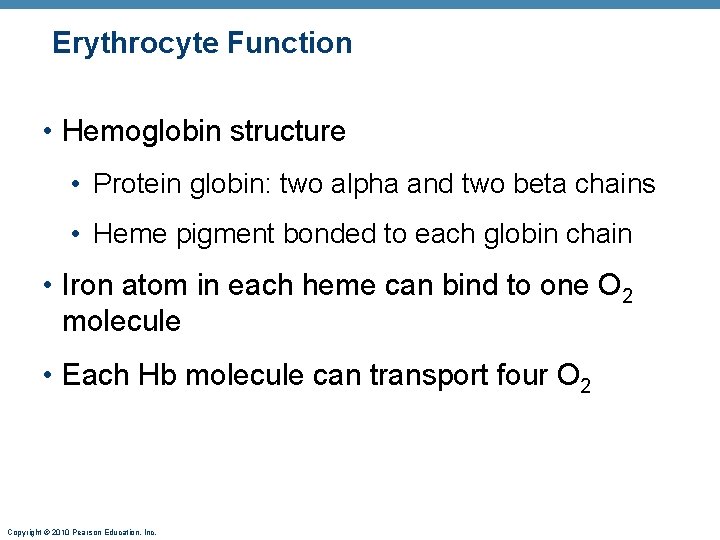 Erythrocyte Function • Hemoglobin structure • Protein globin: two alpha and two beta chains