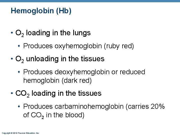 Hemoglobin (Hb) • O 2 loading in the lungs • Produces oxyhemoglobin (ruby red)