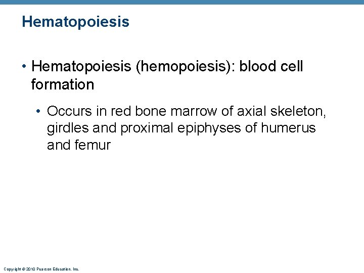 Hematopoiesis • Hematopoiesis (hemopoiesis): blood cell formation • Occurs in red bone marrow of