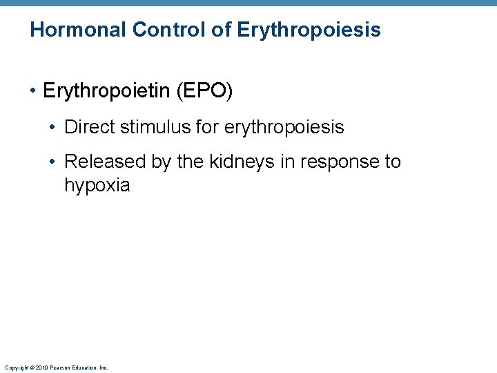 Hormonal Control of Erythropoiesis • Erythropoietin (EPO) • Direct stimulus for erythropoiesis • Released