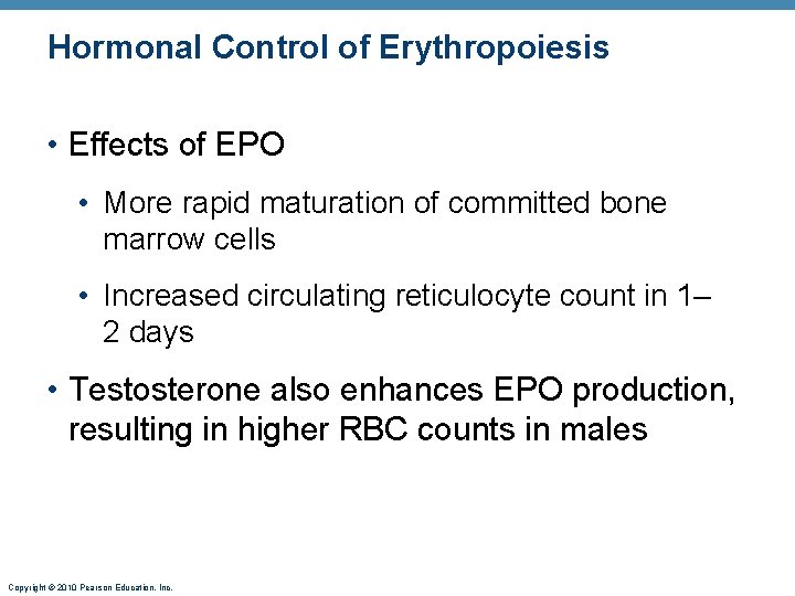 Hormonal Control of Erythropoiesis • Effects of EPO • More rapid maturation of committed