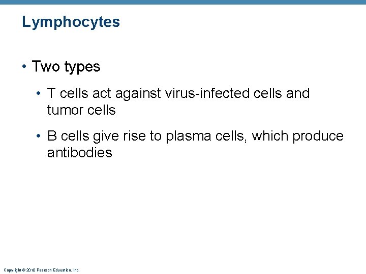 Lymphocytes • Two types • T cells act against virus-infected cells and tumor cells