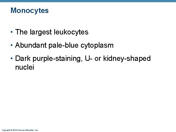 Monocytes • The largest leukocytes • Abundant pale-blue cytoplasm • Dark purple-staining, U- or