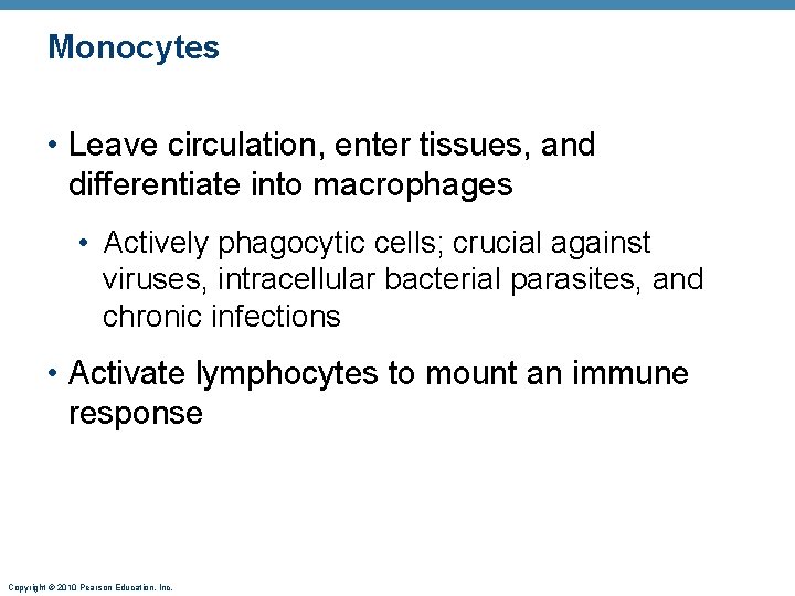 Monocytes • Leave circulation, enter tissues, and differentiate into macrophages • Actively phagocytic cells;